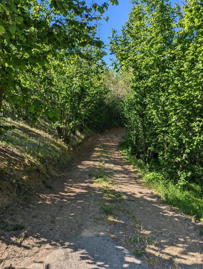 Cascina Cortese Vigliano d'Asti Bagian luar foto